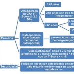 Consenso sobre osteoporosis en el País Vasco