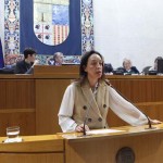 Las Cortes de Aragón instan a priorizar el pago a las farmacias