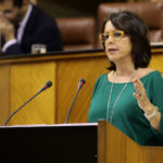 El PP andaluz reitera la necesidad de buscar una alternativa a las subastas