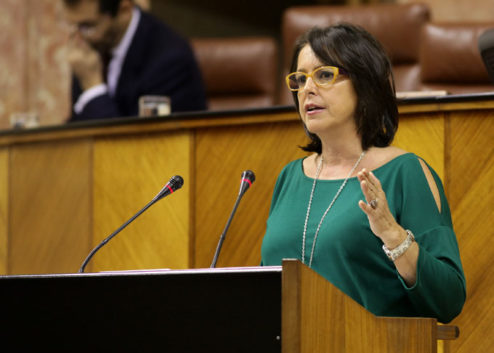 Catalina García, portavoz de Sanidad del PP en el Parlamento de Andalucía