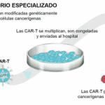 Hoja de información de medicamentos CAR-T en la Comunidad de Madrid