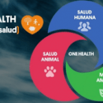 Fenin y la Fundación Tecnología y Salud se unen a la implementación del enfoque One Health