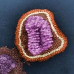Investigan una característica de los virus que los hace propensos a pasar de animales a humanos