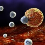 Una terapia con células T podría evitar el rechazo inmunológico en niños trasplantados