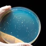 Sefap lanza una nueva iniciativa para mejorar el conocimiento de antimicrobianos en AP