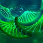 ILRA: Una nueva herramienta bioinformática para obtener genomas de calidad
