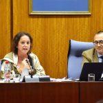 Andalucía incrementará en 2024 la actividad asistencial con recursos propios