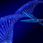 La EMA da luz verde a la primera terapia de edición genética con CRISPR/Cas9
