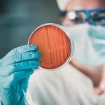 Un enfoque ‘One Health’ para afrontar la lucha frente a la resistencia a los antimicrobianos