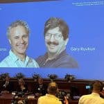 Victor Ambros y Gary Ruvkun, Premio Nobel de Medicina por el descubrimiento del microARN