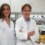 Logran una CAR-T con doble respuesta en modelos preclínicos de cáncer de mama HER2+