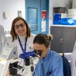 CUN y Ciemat desarrollan CAR-T más versátiles y económicas en cáncer hematológico 