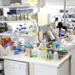 Idival y U. Cantabria diseñan una nanomedicina que ataca tumores sin dañar tejido sano