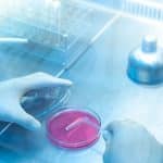 OMS: “La resistencia a los antimicrobianos va más rápida que los avances en la medicina”