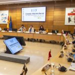 Ministerio y CC.AA. abordan este viernes en el CISNS las medidas para el control de la gripe