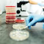 SemFYC plantea pruebas diagnósticas rápidas en AP en todo el país para frenar las RAM 