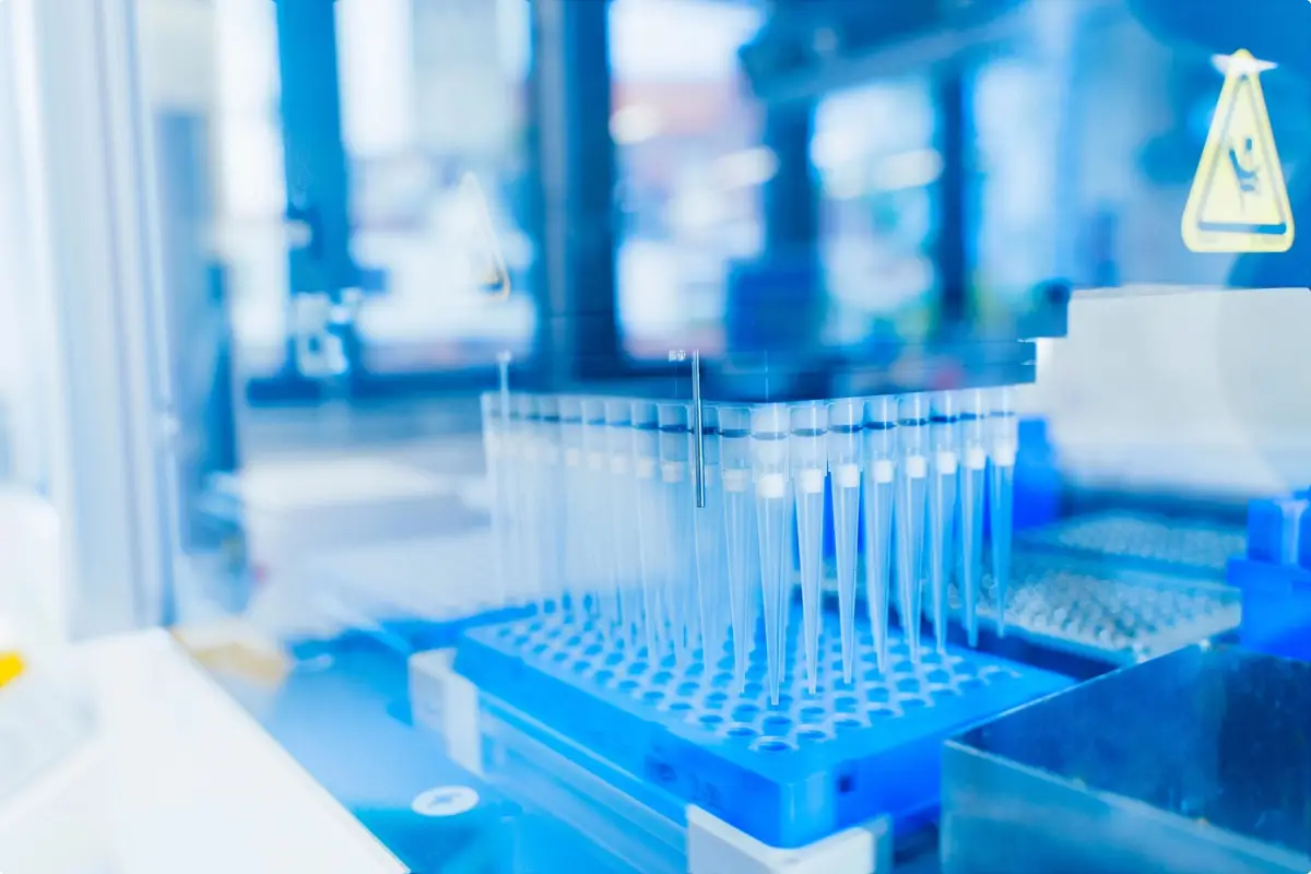 Sorry! Image not available at this time