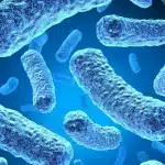 Un estudio del 12 de Octubre aporta nuevas claves para prevenir las infecciones hospitalarias bacterianas