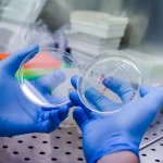 ARI-0001 muestra altas tasas de respuesta en pacientes adultos con leucemia linfoblástica