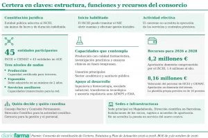 20261005 Certera en claves - estructura funciones y recursos del consorcio