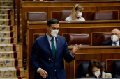 Pedro Sánchez en el Congreso de los Diputados.