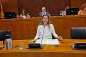 La directora gerente del Instituto Aragonés de Ciencias de la Salud, Elena Gonzalvo, durante su comparecencia en las Cortes de Aragón.