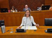 La directora gerente del Instituto Aragonés de Ciencias de la Salud, Elena Gonzalvo, durante su comparecencia en las Cortes de Aragón.