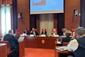 Albert_Dalmau_al_Parlament