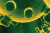 Banner-coronavirus-movil-3