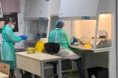 Preparación de lotes en las cabinas de bioseguridad del laboratorio logístico COVID-LOT, a partir de las muestras de saliva tomadas cada día del personal de la Universidad Complutense