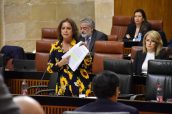 La consejera Catalina García, durante su intervención en el Parlamento.