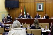Comisión de Salud - andalucia