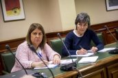 Amparo Botejara, a la derecha de la imagen, en una reunión de la Comisión de Sanidad del Congreso.