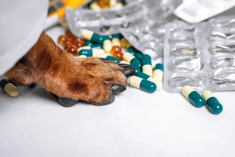 Depositphotos_358749204_XL (1)