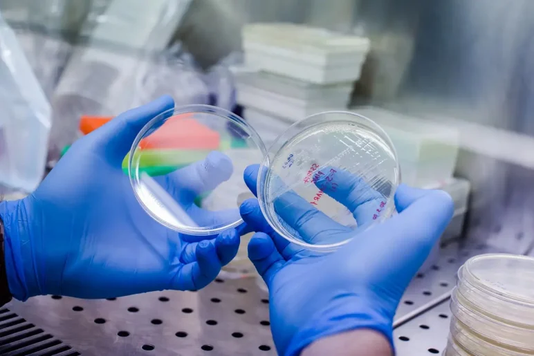 Depositphotos_362218822_XL (1)