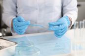 Doctor in gloves holds brush for smears and glass in laboratory
