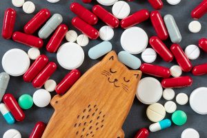 wooden cat cub on background of many pills, pills and vitamins. Children's medicine, treatment of children concept