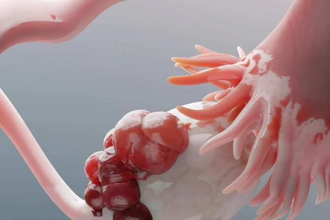 Depositphotos_680653254_XL