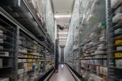 A pharmacy storage room and a robot hand are arranging and store out drugs in a pharmacy.