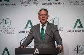 Elías Bendodo, portavoz del Gobierno andaluz.