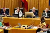 Matilde Sánchez Reyes, durante su intervención en la subocmisión.