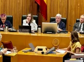 Matilde Sánchez Reyes, durante su intervención en la subocmisión.