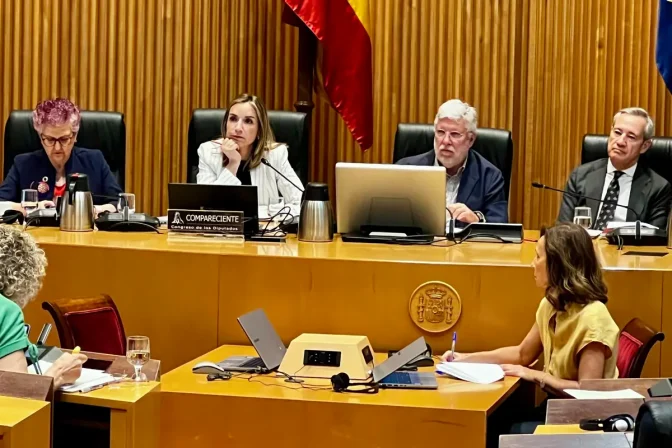 Matilde Sánchez Reyes, durante su intervención en la subocmisión.