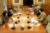 Reunión mantenida entre los responsables del Ministerio de Sanidad y los de la Consejería de Sanidad de la Comunidad de Madrid.