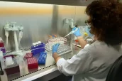 Investigacion