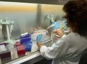 Investigacion