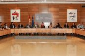 Imagen de la reunión entre el Ministerio y las CCAA para hablar sobre la compra centralizada de medicamentos y productos sanitarios.