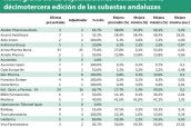 Radiografía-de-las-adjudicaciones-realizadas-en-la-décimotercera-edición-de-las-subastas-andaluzas