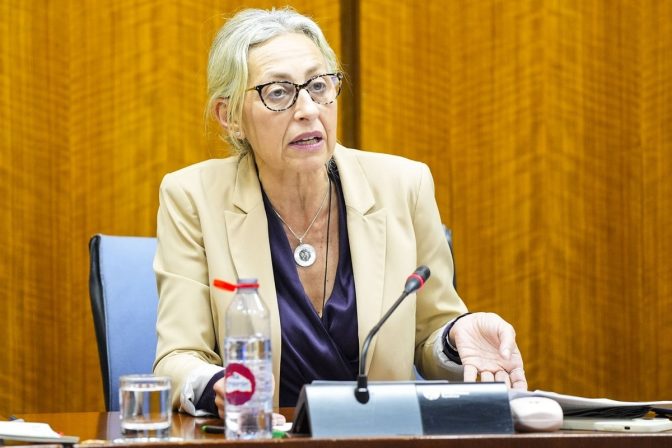 La consejera de Sanidad, Rocío Hernández