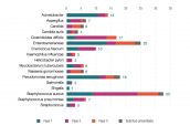 Fuente: Farmaindustria